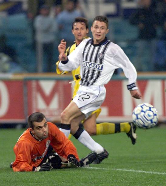 向世人展示 向世人展示