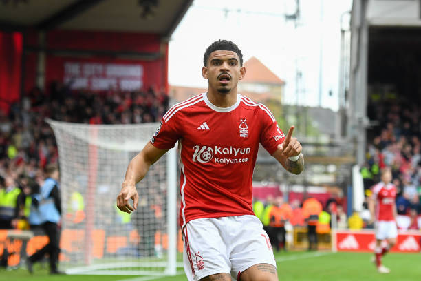 表现证明了 表现证明了